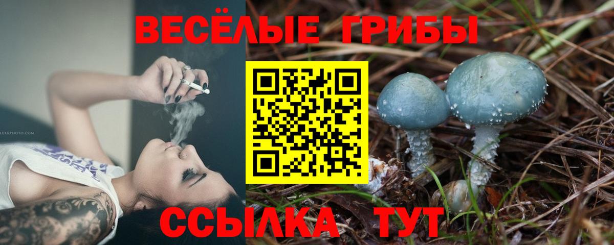 Псилоцибиновые грибы мухоморы Богданович